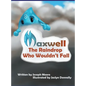 Maxwell, the Raindrop Who Wouldn't Fall - Hardcover
