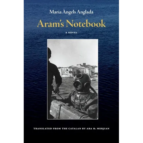 Aram's Notebook - Paperback