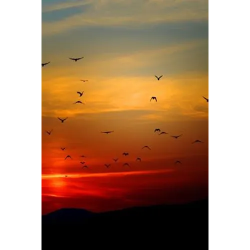 Sunset Flight: Beautiful - Paperback