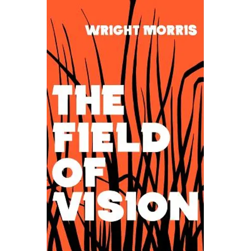 The Field of Vision - Paperback