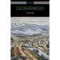 A Lost Lady - Paperback