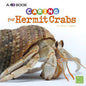 Caring for Hermit Crabs: A 4D Book - Hardcover