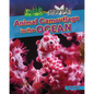 Animal Camouflage in the Ocean - Paperback