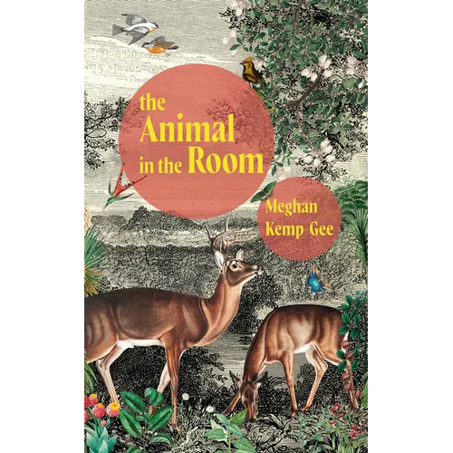 The Animal in the Room - Paperback