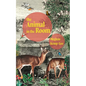 The Animal in the Room - Paperback