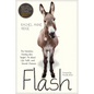 Flash: The Homeless Donkey Who Taught Me about Life, Faith, and Second Chances - Paperback