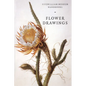 Flower Drawings - Paperback