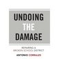 Undoing the Damage: Repairing a Broken School District - Hardcover