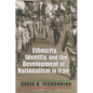 Ethnicity, Identity, and the Development of Nationalism in Iran - Hardcover