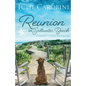 Reunion in Saltwater Beach - Paperback