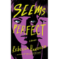 Seems Perfect - Hardcover