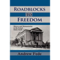 Roadblocks to Freedom: Slavery and Manumission in the United States South - Paperback