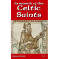 In Search of the Celtic Saints - Paperback