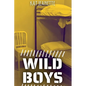 Wild Boys - Paperback