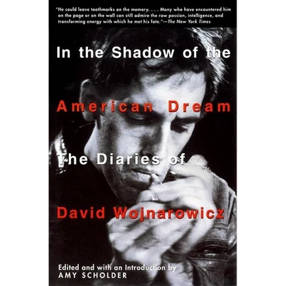 In the Shadow of the American Dream: The Diaries of David Wojnarowicz - Paperback