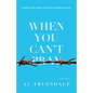 When You Can't Pray: Finding Hope When You're Not Experiencing God - Paperback