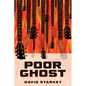 Poor Ghost - Hardcover