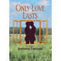 Only Love Lasts - Hardcover