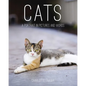 Cats: A Portrait in Pictures and Words - Hardcover