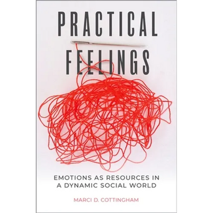 Practical Feelings: Emotions as Resources in a Dynamic Social World - Paperback