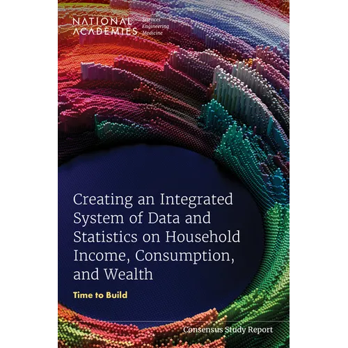 Creating an Integrated System of Data and Statistics on Household Income, Consumption, and Wealth: Time to Build - Paperback