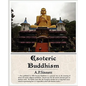 Esoteric Buddhism - Paperback