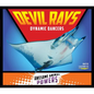 Devil Rays: Dynamic Dancers: Dynamic Dancers - Library Binding