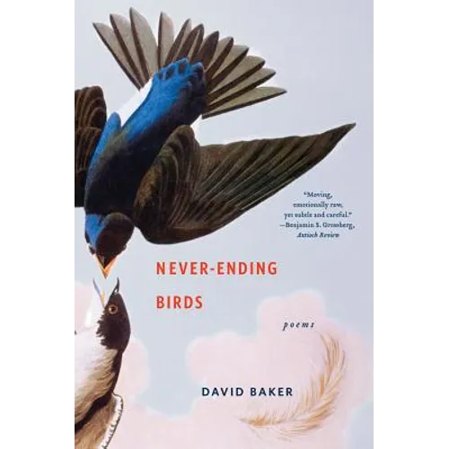 Never-Ending Birds: Poems - Paperback