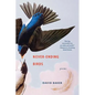 Never-Ending Birds: Poems - Paperback