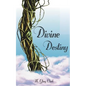 Divine Destiny - Paperback