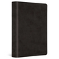 ESV Value Large Print Compact Bible, Red Letter (Trutone, Black) - Imitation Leather