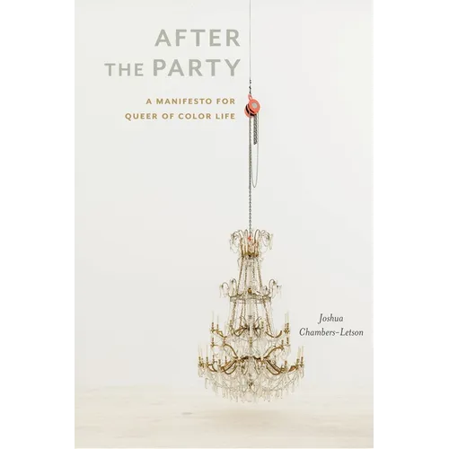 After the Party: A Manifesto for Queer of Color Life - Paperback
