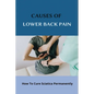 Causes Of Lower Back Pain: How To Cure Sciatica Permanently: How To Heal Your Sciatica - Paperback
