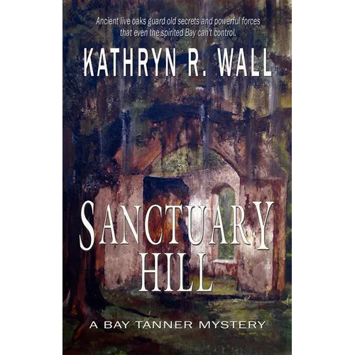 Sanctuary Hill - Paperback