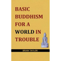 Basic Buddhism for a World in Trouble - Paperback