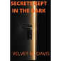 Secrets Kept In The Dark - Paperback