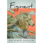 Figment - Hardcover