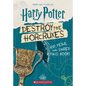 Destroy the Horcruxes (Official Harry Potter Activity Book) - Hardcover