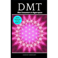 Dmt: Alien Encounters In Hyperspace - Paperback