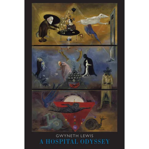 A Hospital Odyssey - Paperback