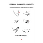 Formal Shamanic Conduct: Zonal Installations in Supernatural Space - Paperback