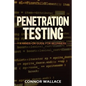 Penetration Testing: Penetration Testing: A Hands-On Guide For Beginners - Paperback