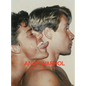 Andy Warhol: Velvet Rage and Beauty - Hardcover