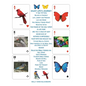 Enjoy Life's Journey: For Coffee Table Display - Hardcover
