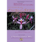 La Gruta de las Orquídeas - Paperback