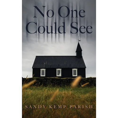 No One Could See - Hardcover