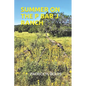 Summer on the P Bar J Ranch - Paperback