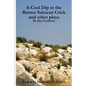 A Cool Dip in the Barren Saharan Crick and other plays - Paperback
