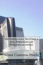 Metodologia Sistemica del Aprendizaje Organizacional - Paperback