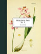 Vintage Botany Prints: Vol. 19 - Paperback